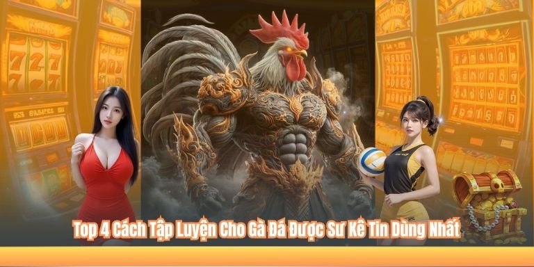 Top 4 Cách Tập Luyện Cho Gà Đá Được Sư Kê Tin Dùng Nhất 2 Top 4 Cách Tập Luyện Cho Gà Đá Được Sư Kê Tin Dùng Nhất