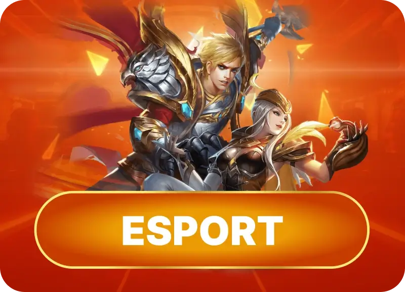 vipwin esport vin777