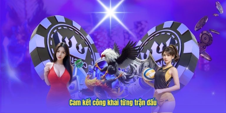 Đá gà trực tiếp cùng VIPWIN – Đổi mới trải nghiệm cá cược 2 Cam kết công khai từng trận đấu