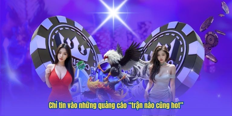 Đá gà trực tiếp cùng VIPWIN – Đổi mới trải nghiệm cá cược 3 Chỉ tin vào những quảng cáo “trận nào cũng hot”