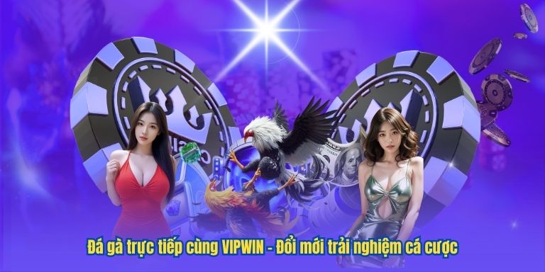 Đá gà trực tiếp cùng VIPWIN – Đổi mới trải nghiệm cá cược 1 Đá gà trực tiếp cùng VIPWIN – Đổi mới trải nghiệm cá cược