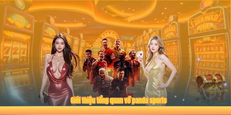 Panda Sports – Đỉnh Cao Kết Nối Giữa Thể Thao Và Giải Trí 2 Giới thiệu tổng quan về panda sports
